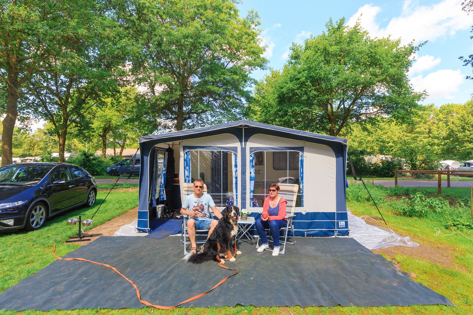 Camping mit Hund in Holland Holland Campings