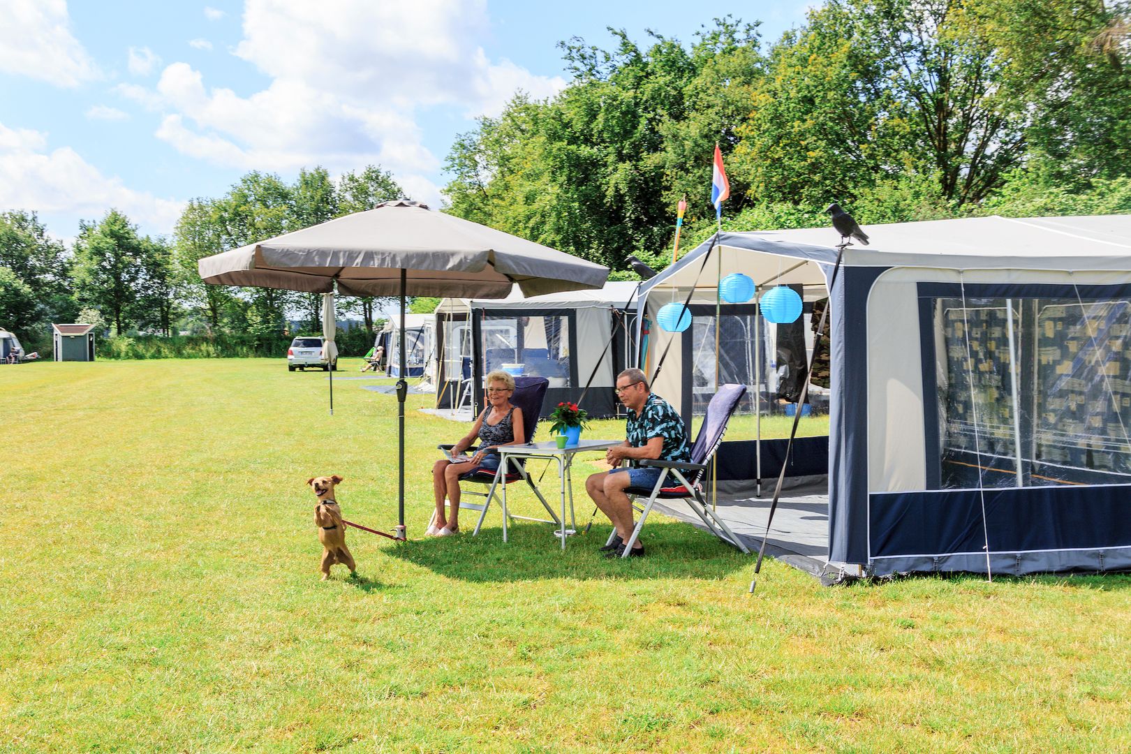 Camping In Holland Mit Hund Lukas Wechsler